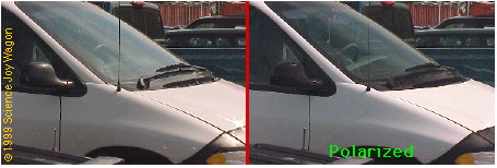 Glare removed by polarizer.